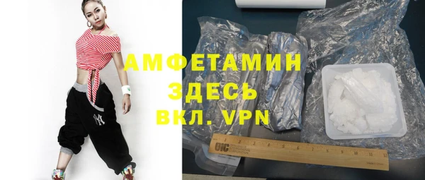 крисы Богородицк