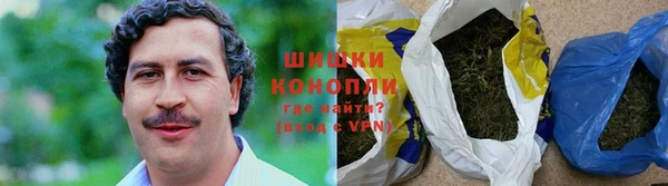 крисы Богородицк