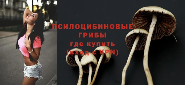 крисы Богородицк
