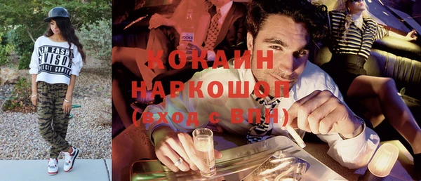 крисы Богородицк