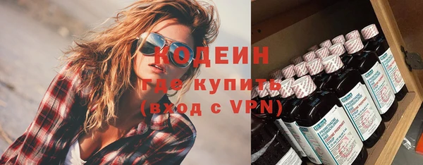 крисы Богородицк