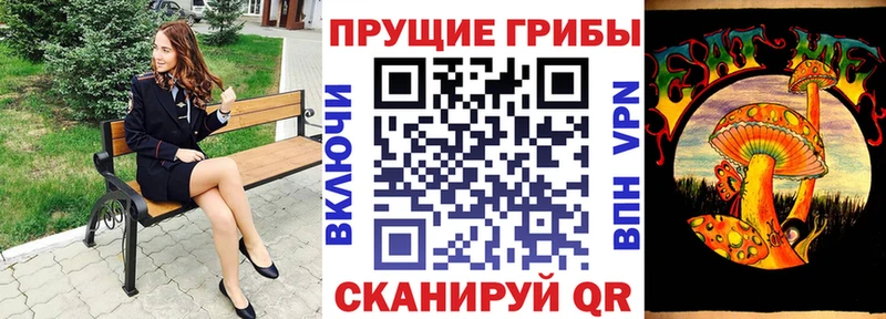 Псилоцибиновые грибы Psilocybe  Холмск 